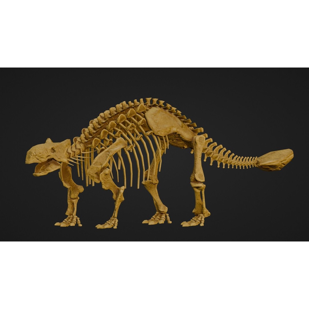 Ankylosaurus 3D Model – Realistic Low Poly Dinosaur Fossil, FBX - View 11