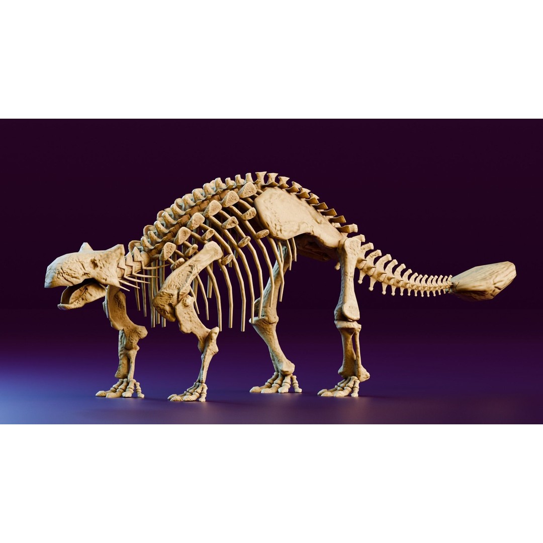 Ankylosaurus 3D Model – Realistic Low Poly Dinosaur Fossil, FBX - View 3