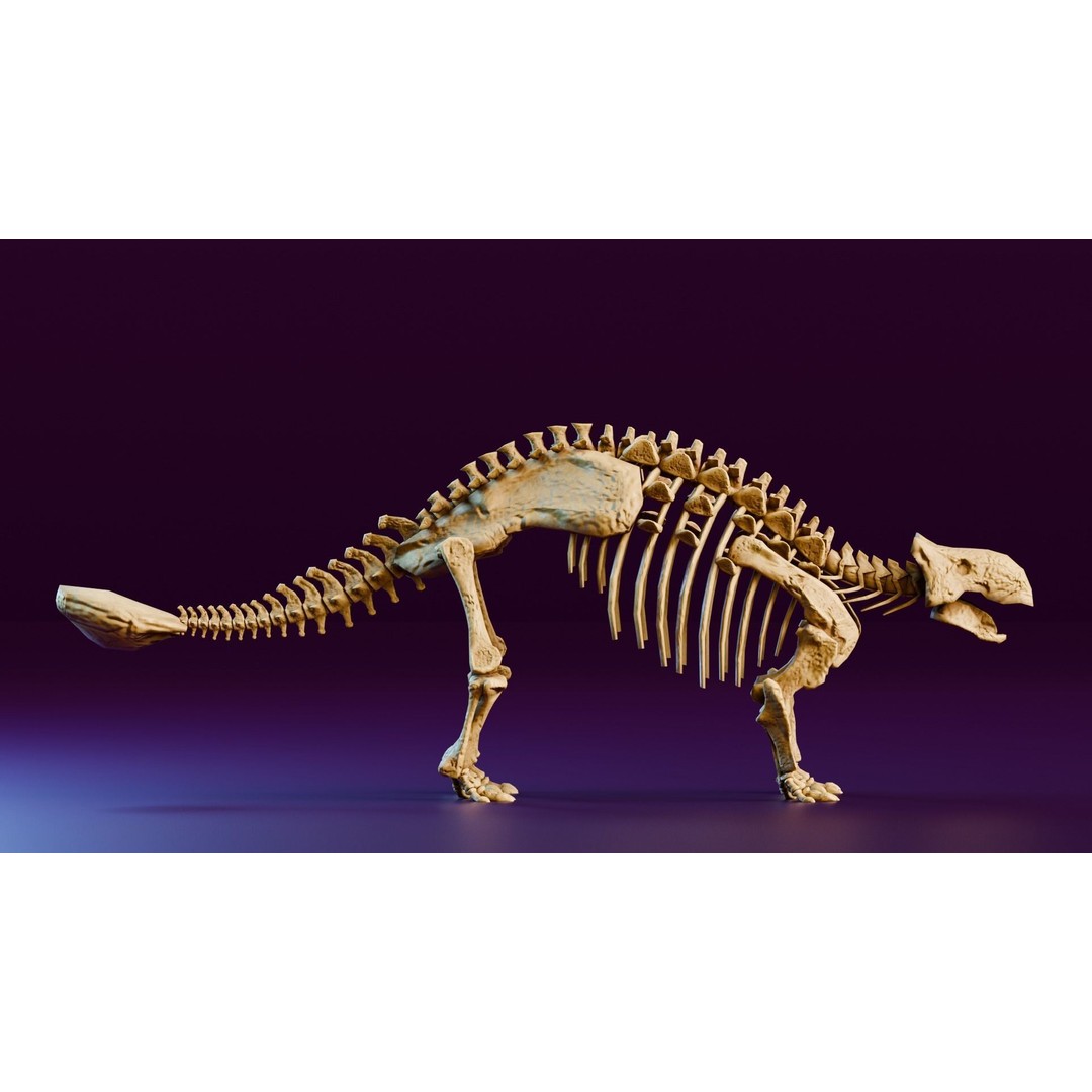 Ankylosaurus 3D Model – Realistic Low Poly Dinosaur Fossil, FBX - View 4