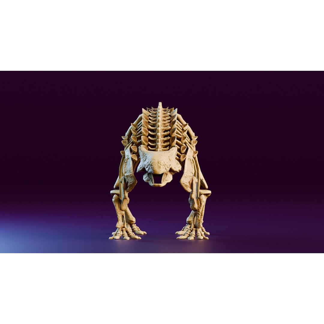 Ankylosaurus 3D Model – Realistic Low Poly Dinosaur Fossil, FBX - View 5
