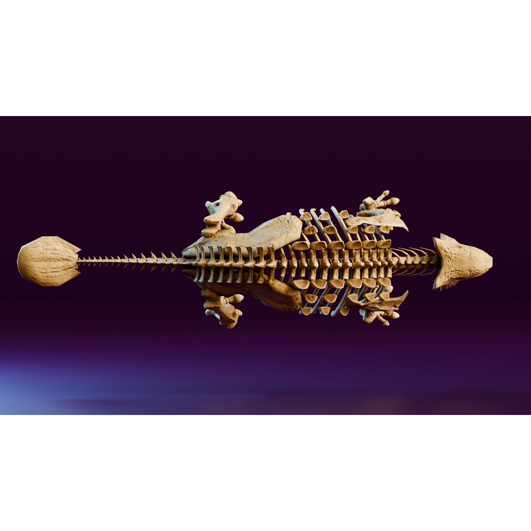 Ankylosaurus 3D Model – Realistic Low Poly Dinosaur Fossil, FBX - View 6