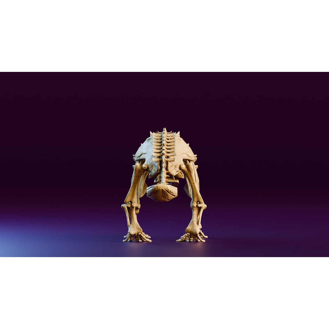 Ankylosaurus 3D Model – Realistic Low Poly Dinosaur Fossil, FBX - View 7