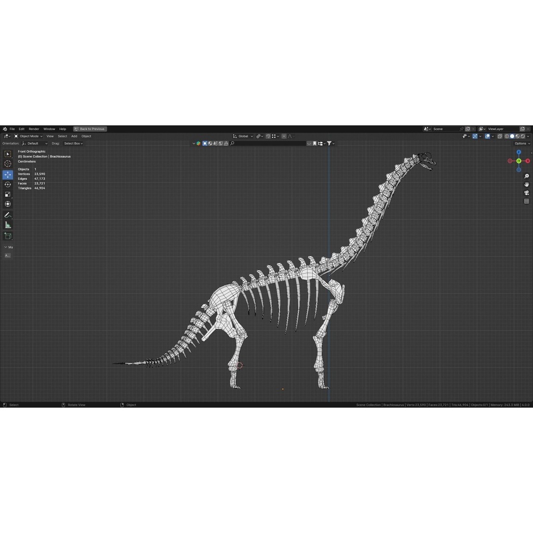 Brachiosaurus Fossil 3D Model – Realistic Low-Poly Rigged Asset, FBX