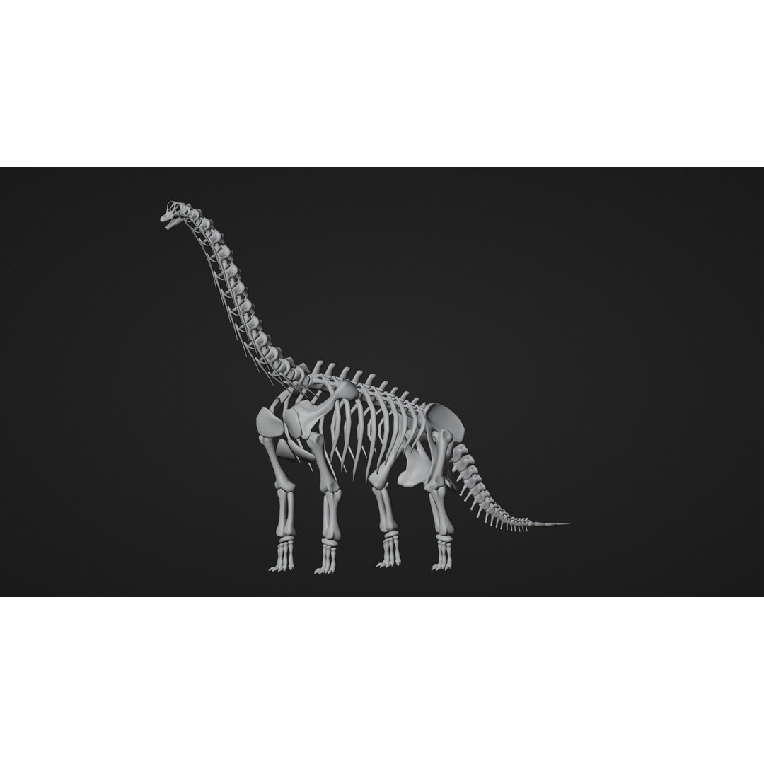 Brachiosaurus Fossil 3D Model – Realistic Low-Poly Rigged Asset, FBX - View 10