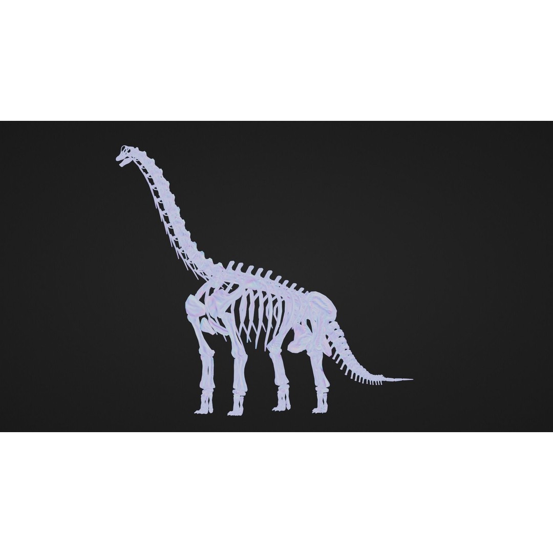 Brachiosaurus Fossil 3D Model – Realistic Low-Poly Rigged Asset, FBX - View 9