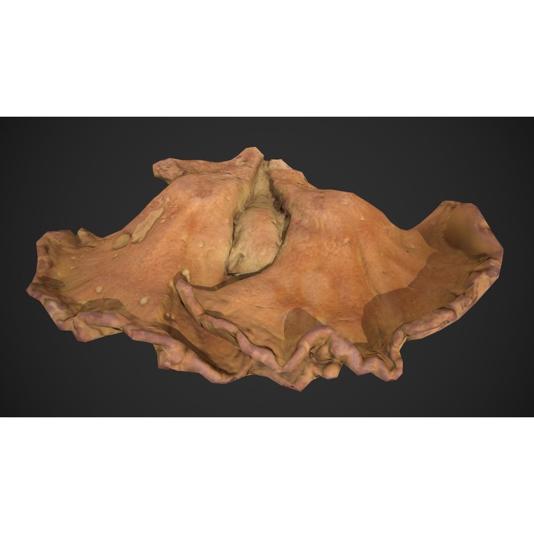 Chicken of the Woods 3D Model – Low Poly Game Asset, FBX, PBR Textures - View 10