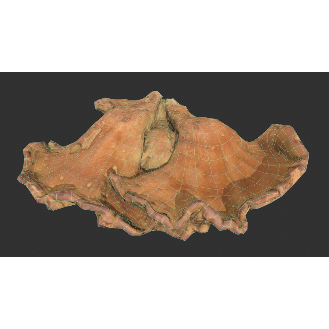 Chicken of the Woods 3D Model – Low Poly Game Asset, FBX, PBR Textures - View 11