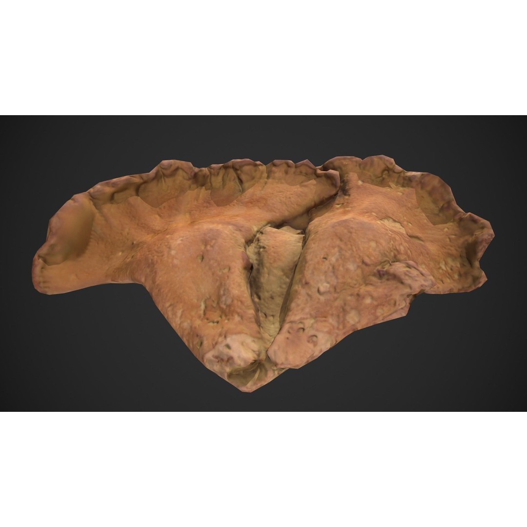 Chicken of the Woods 3D Model – Low Poly Game Asset, FBX, PBR Textures - View 12