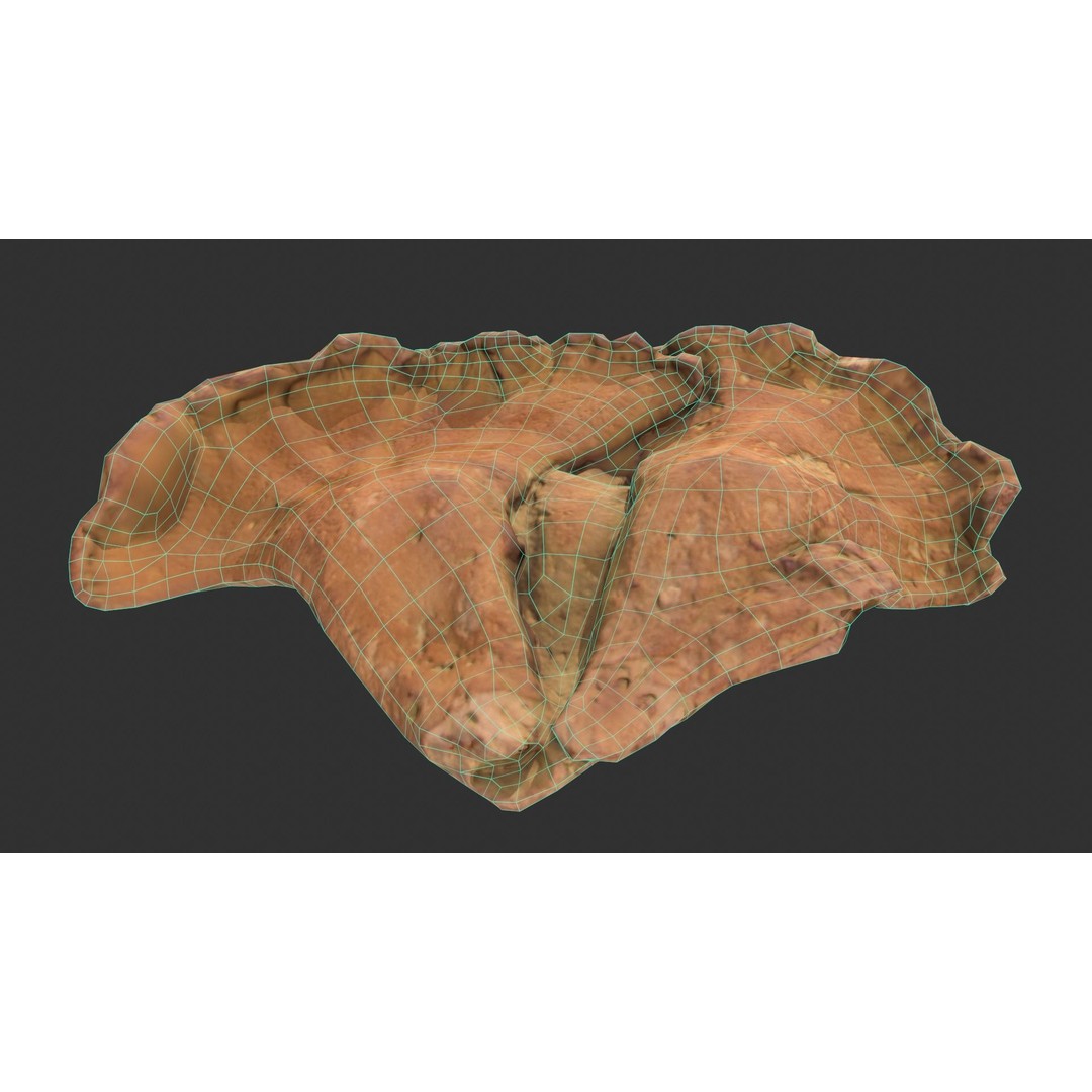 Chicken of the Woods 3D Model – Low Poly Game Asset, FBX, PBR Textures - View 13