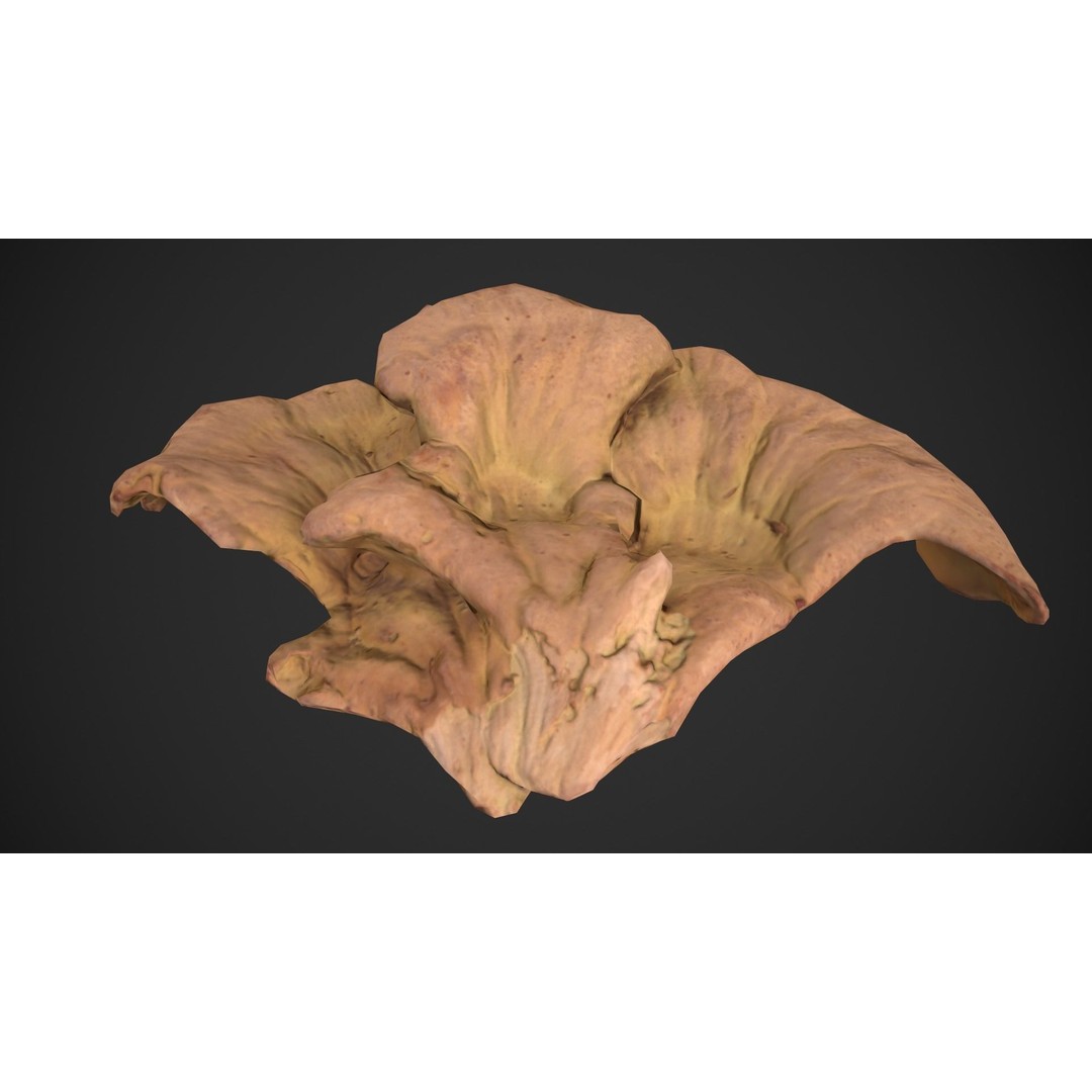Chicken of the Woods 3D Model – Low Poly Game Asset, FBX, PBR Textures - View 14