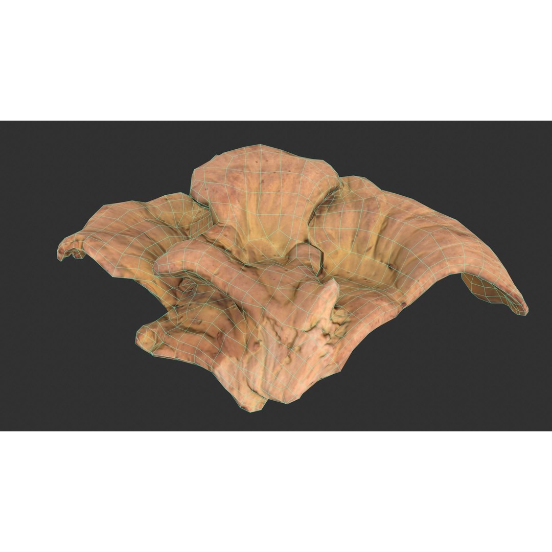 Chicken of the Woods 3D Model – Low Poly Game Asset, FBX, PBR Textures - View 15