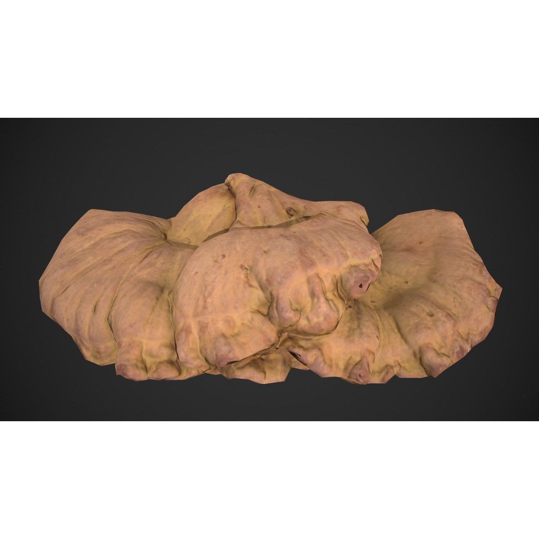 Chicken of the Woods 3D Model – Low Poly Game Asset, FBX, PBR Textures - View 16