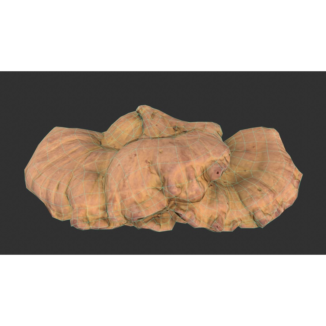 Chicken of the Woods 3D Model – Low Poly Game Asset, FBX, PBR Textures - View 17