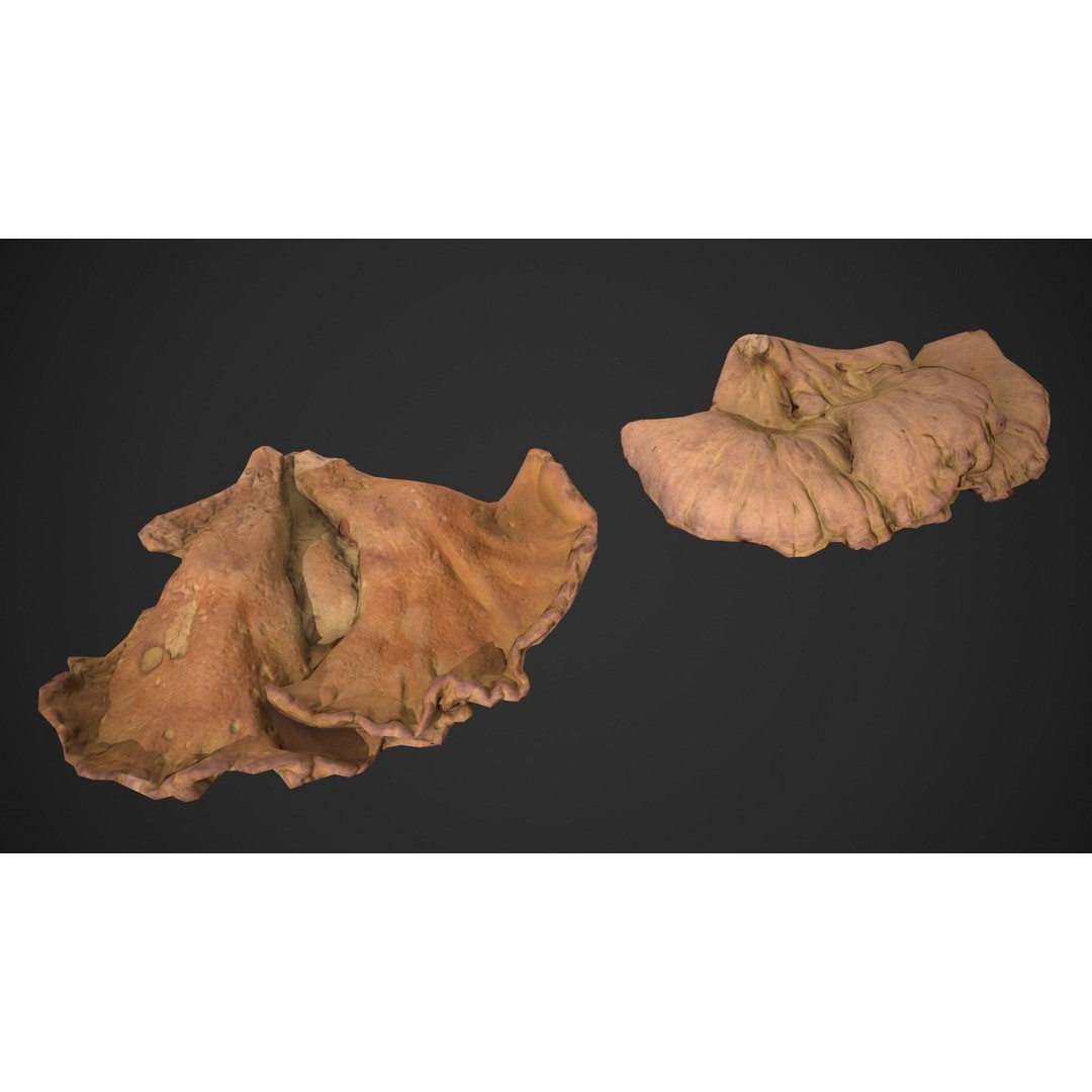 Chicken of the Woods 3D Model – Low Poly Game Asset, FBX, PBR Textures - View 18