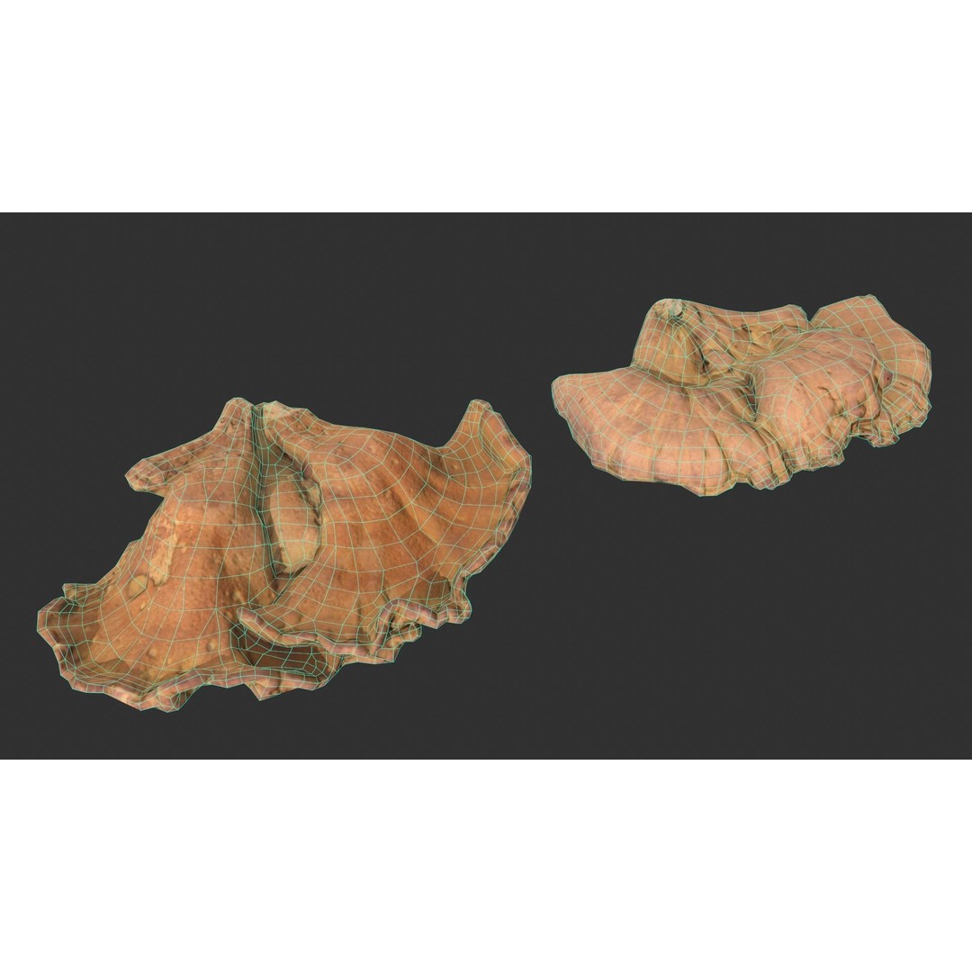 Chicken of the Woods 3D Model – Low Poly Game Asset, FBX, PBR Textures - View 19