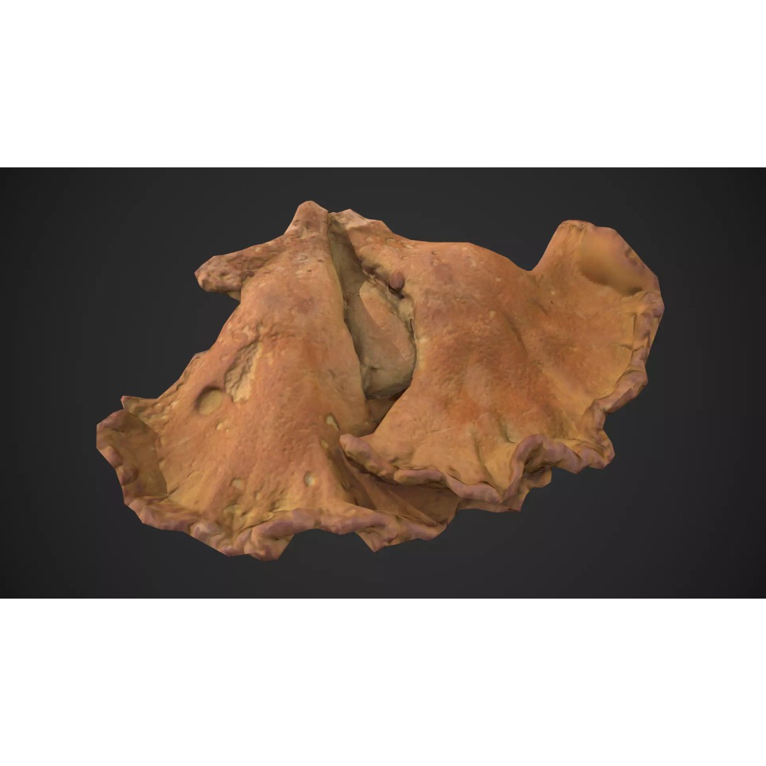 Chicken of the Woods 3D Model – Low Poly Game Asset, FBX, PBR Textures - View 2