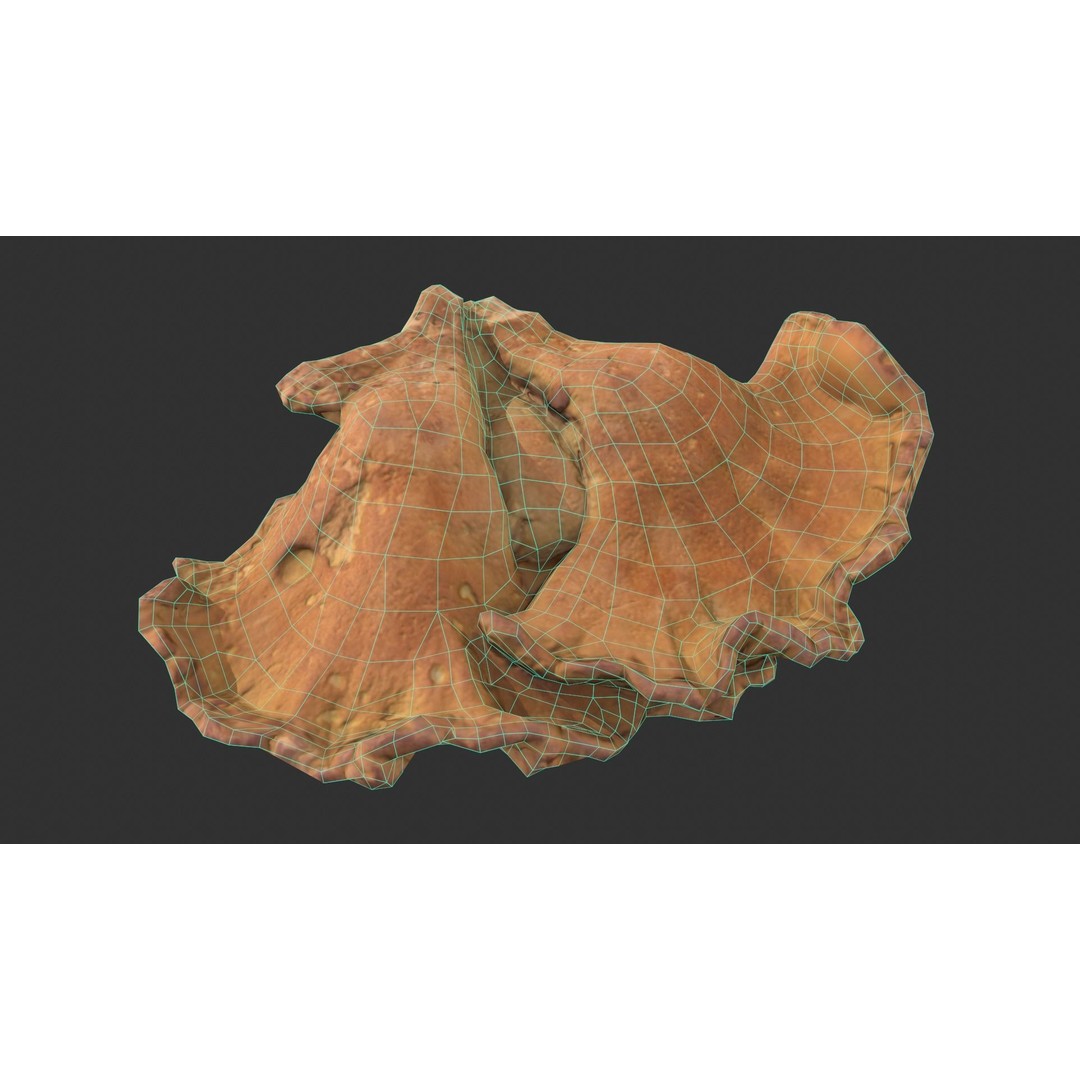 Chicken of the Woods 3D Model – Low Poly Game Asset, FBX, PBR Textures - View 3