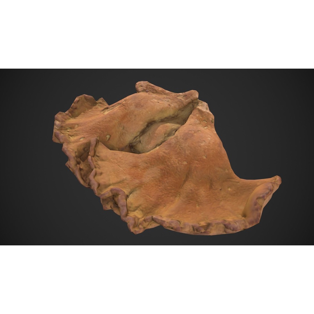 Chicken of the Woods 3D Model – Low Poly Game Asset, FBX, PBR Textures - View 4