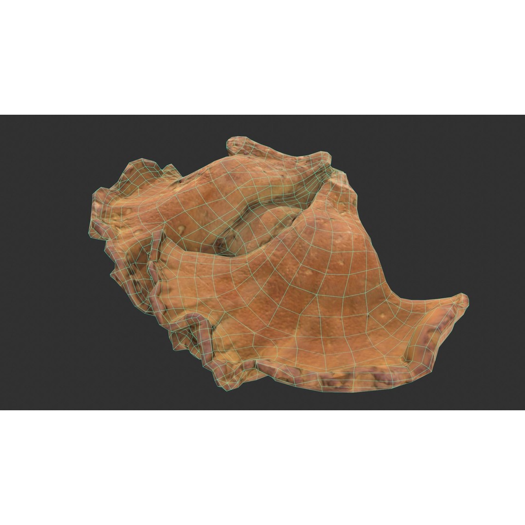 Chicken of the Woods 3D Model – Low Poly Game Asset, FBX, PBR Textures - View 5