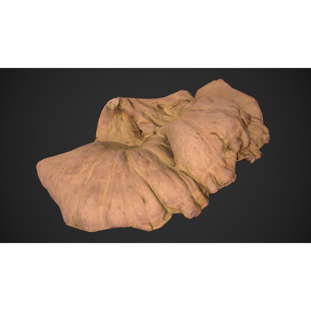 Chicken of the Woods 3D Model – Low Poly Game Asset, FBX, PBR Textures - View 6