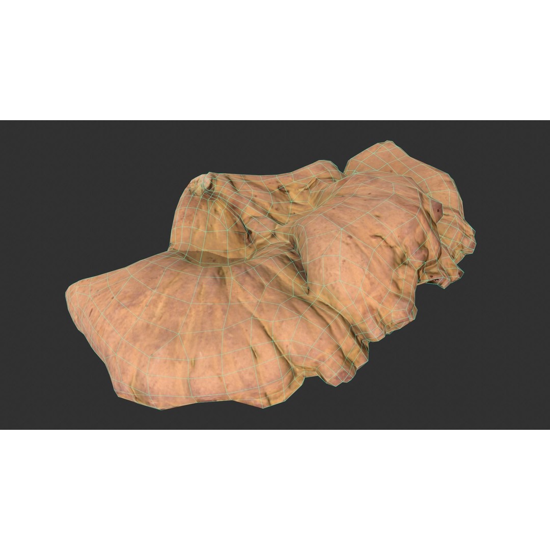 Chicken of the Woods 3D Model – Low Poly Game Asset, FBX, PBR Textures - View 7