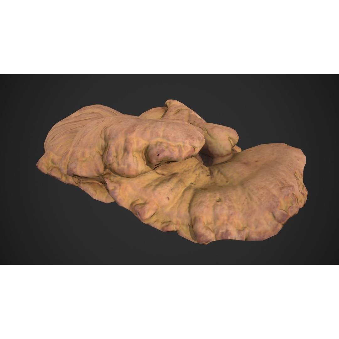Chicken of the Woods 3D Model – Low Poly Game Asset, FBX, PBR Textures - View 8