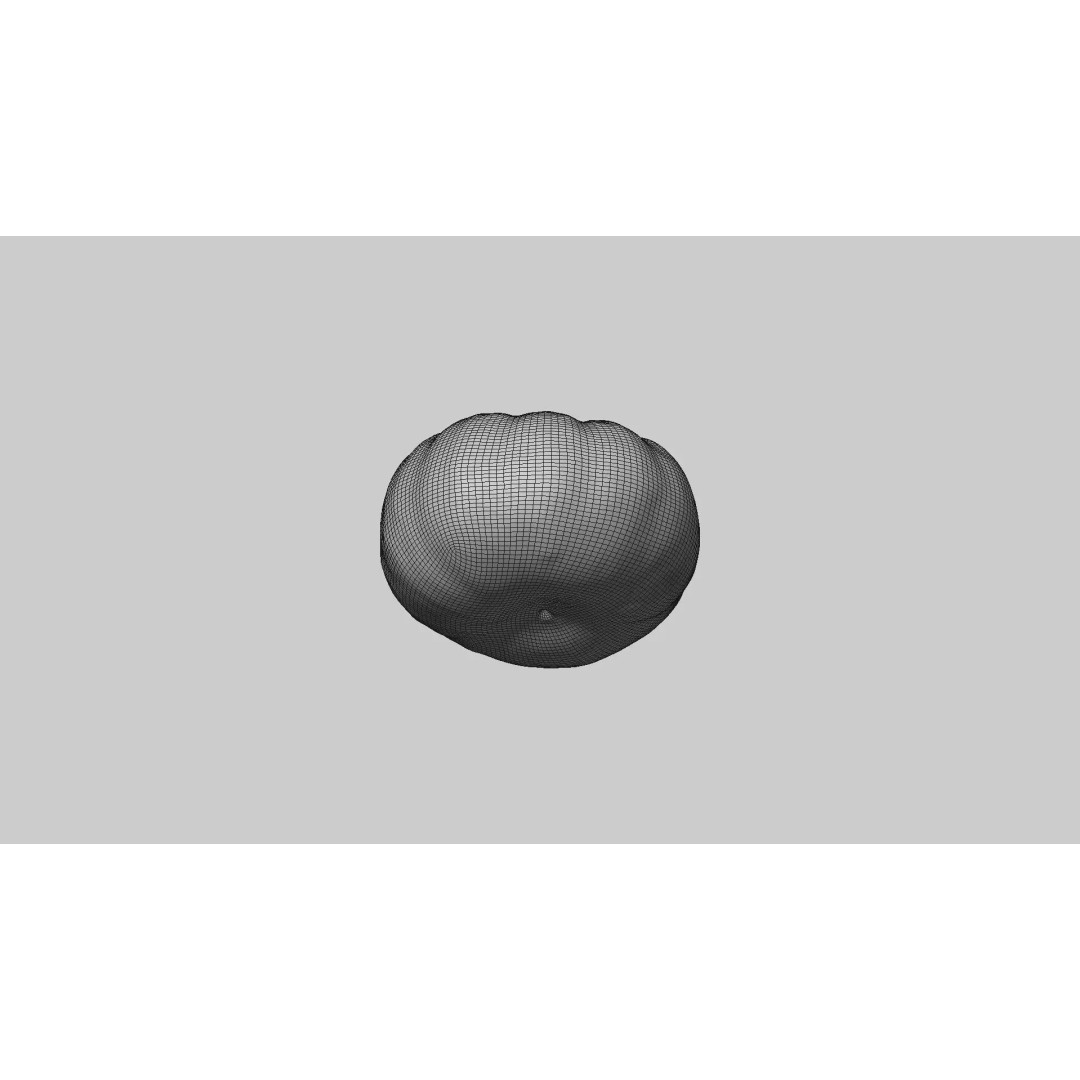 Decorative Pumpkin 3D Model – Realistic PBR Asset, FBX & OBJ Formats