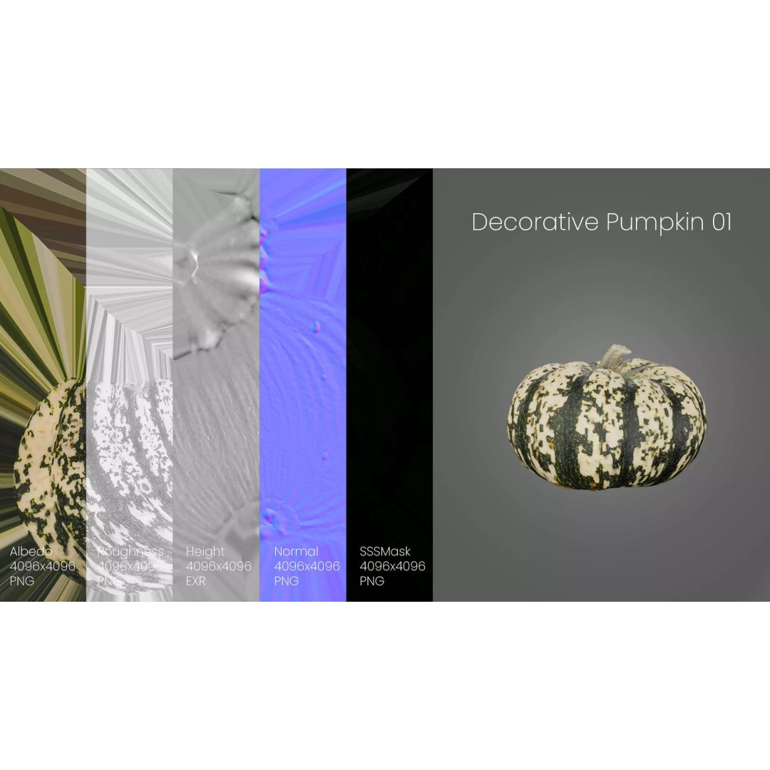 Decorative Pumpkin 3D Model – Realistic PBR Asset, FBX & OBJ Formats - View 7