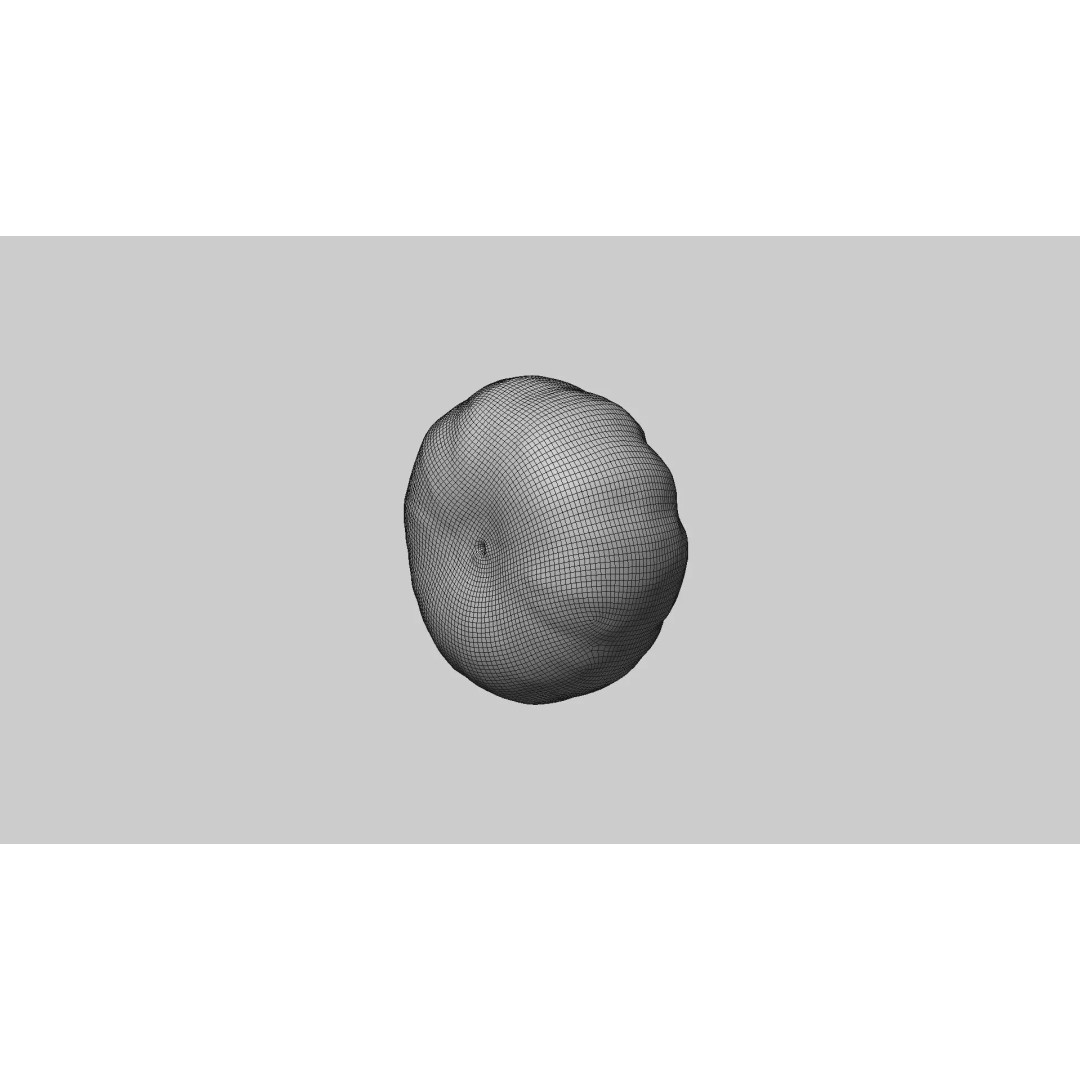 Decorative Pumpkin 3D Model – Realistic PBR Asset, FBX & OBJ Formats - View 9