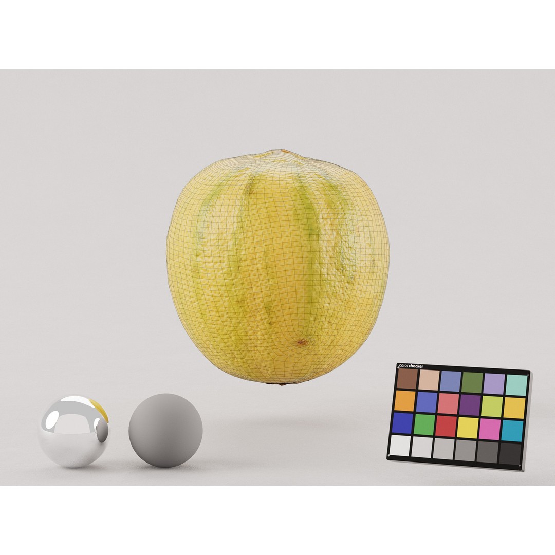 Pink Tiger Lemon 3D Model – Low Poly Photogrammetry Asset, FBX, OBJ - View 9