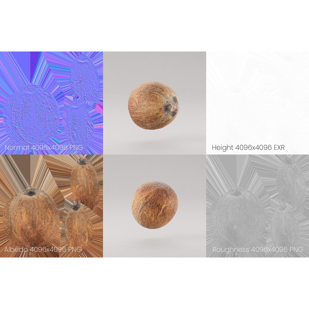 Coconut 3D Model – Low Poly Game Asset, PBR Textures, FBX, OBJ