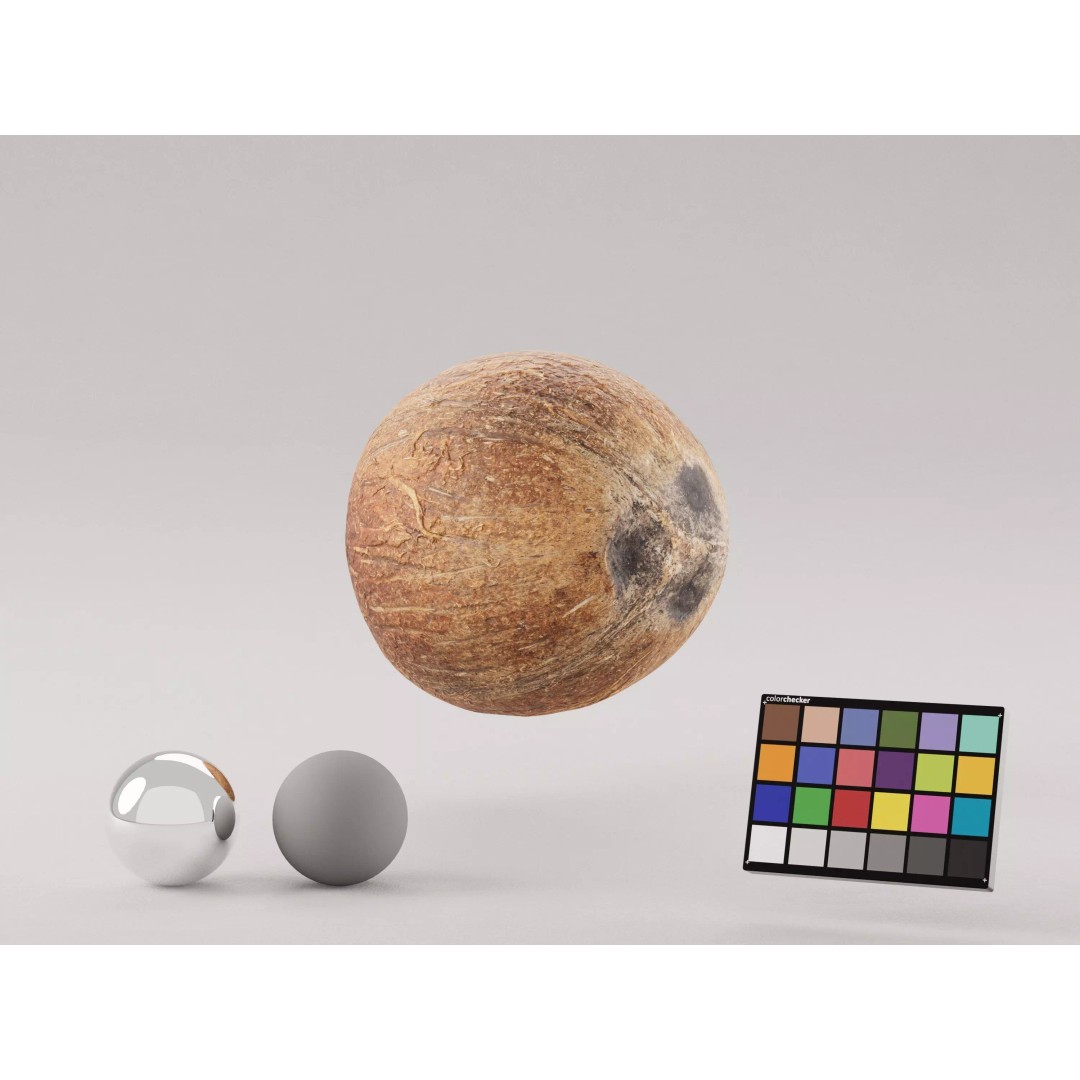Coconut 3D Model – Low Poly Game Asset, PBR Textures, FBX, OBJ - View 2