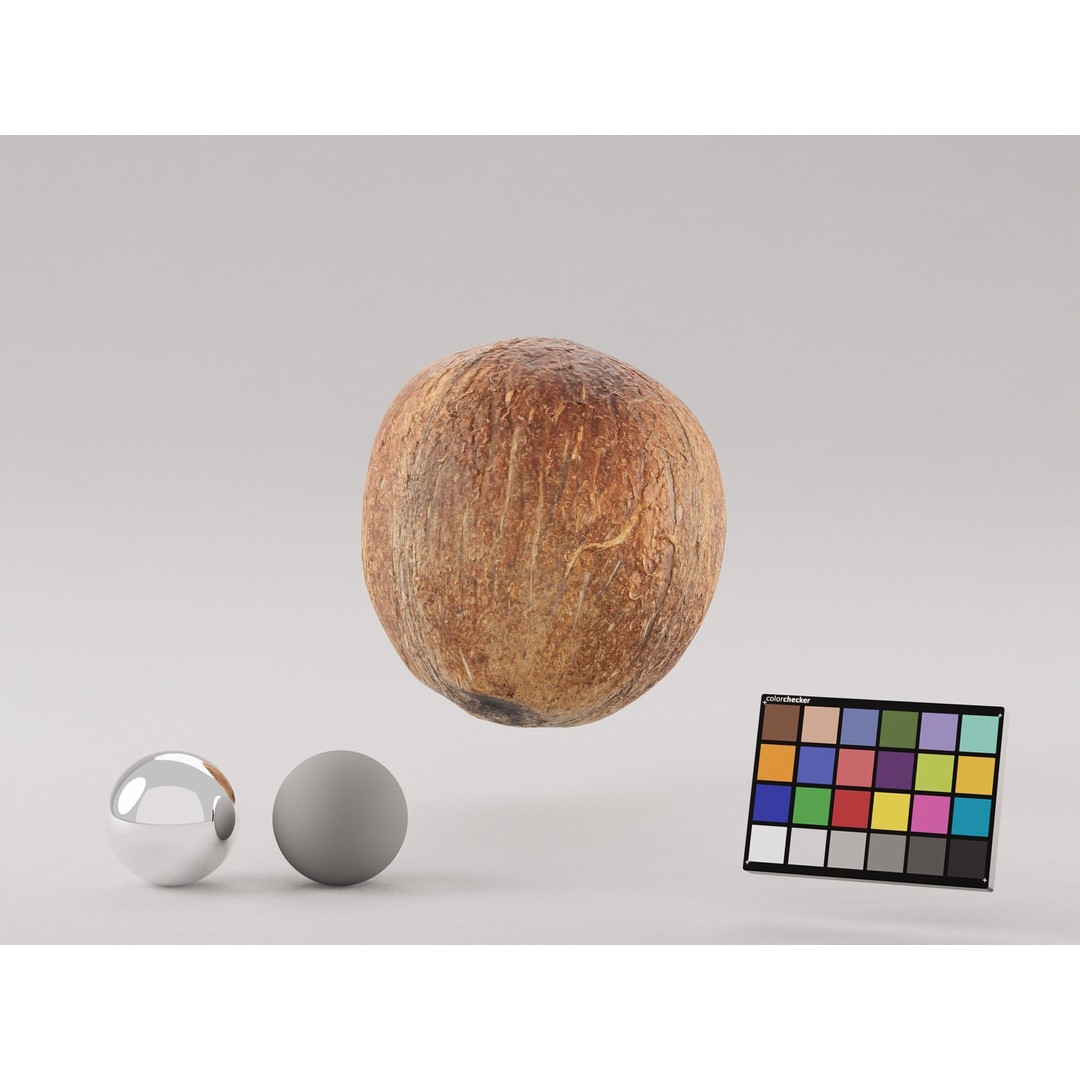 Coconut 3D Model – Low Poly Game Asset, PBR Textures, FBX, OBJ - View 4