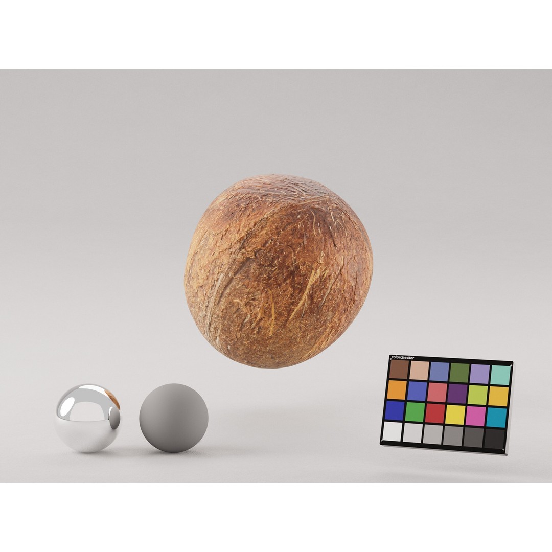 Coconut 3D Model – Low Poly Game Asset, PBR Textures, FBX, OBJ - View 5