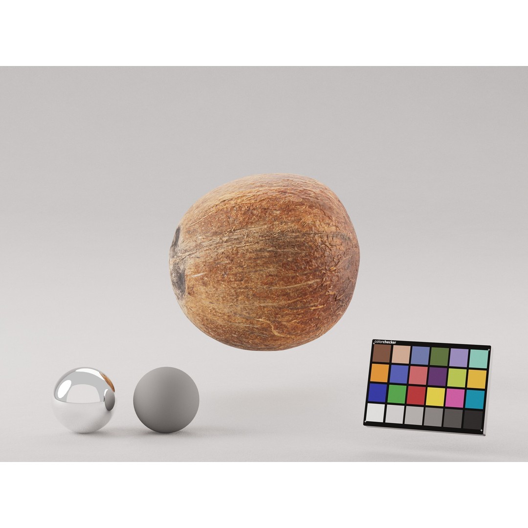 Coconut 3D Model – Low Poly Game Asset, PBR Textures, FBX, OBJ - View 6