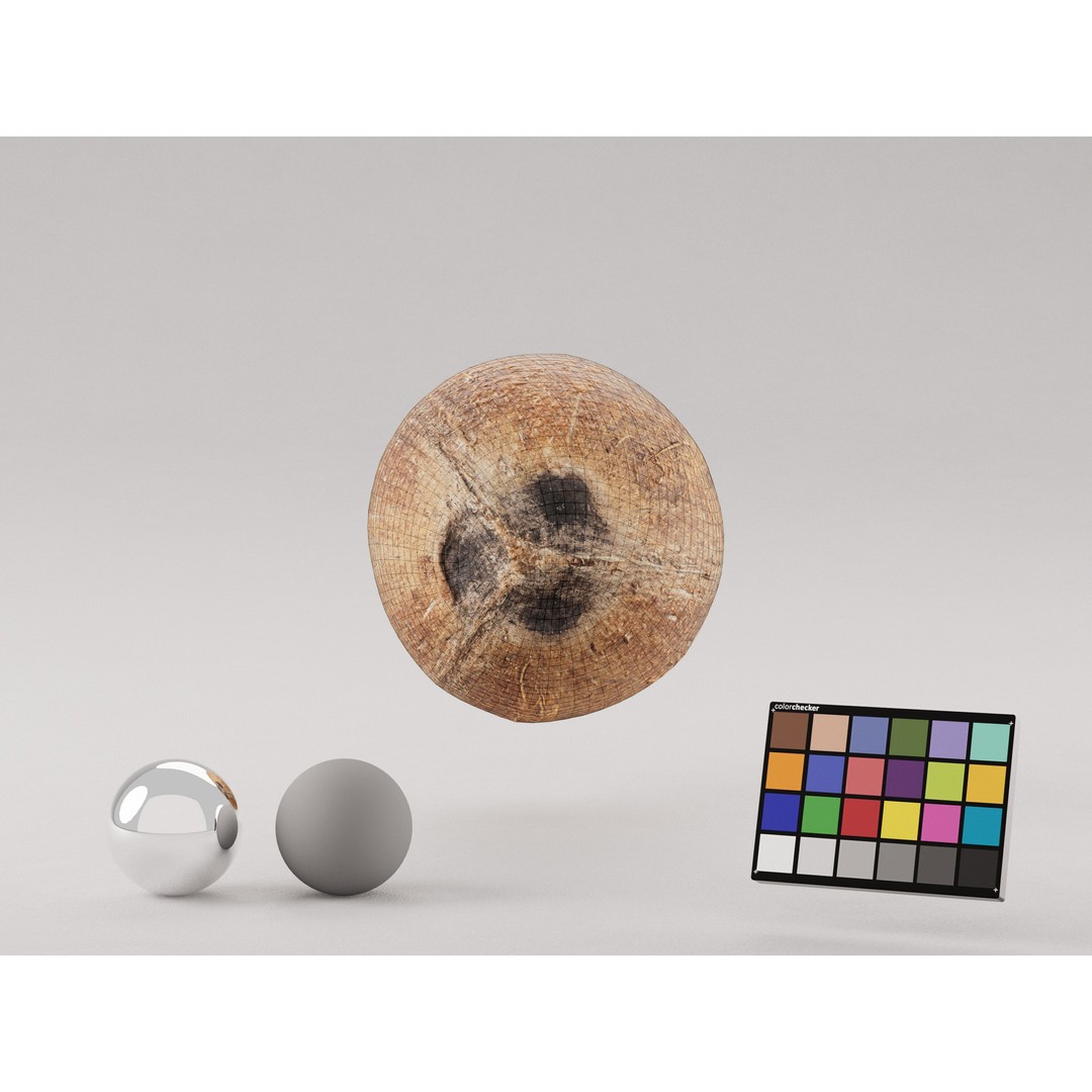 Coconut 3D Model – Low Poly Game Asset, PBR Textures, FBX, OBJ - View 7