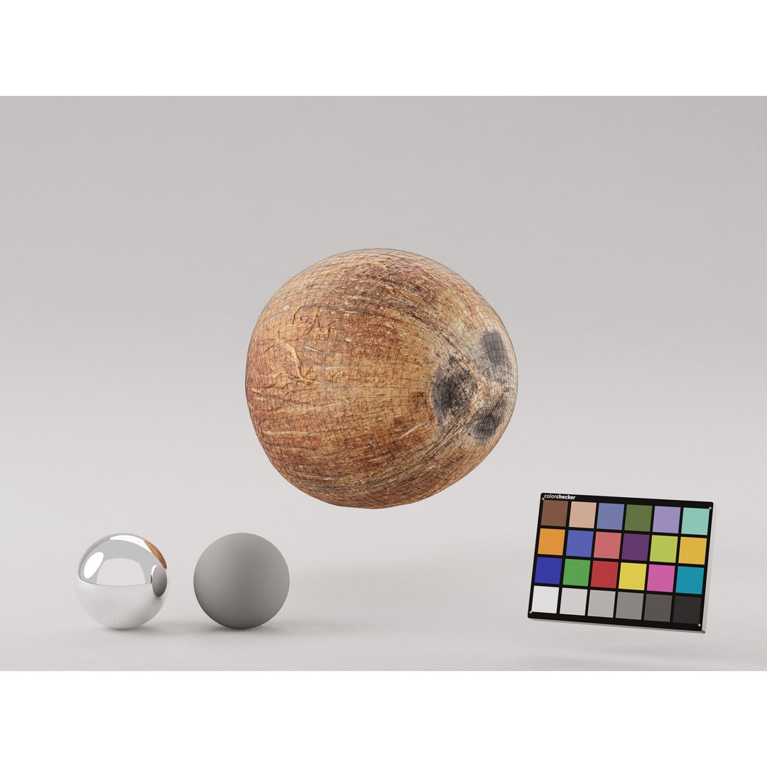 Coconut 3D Model – Low Poly Game Asset, PBR Textures, FBX, OBJ - View 8