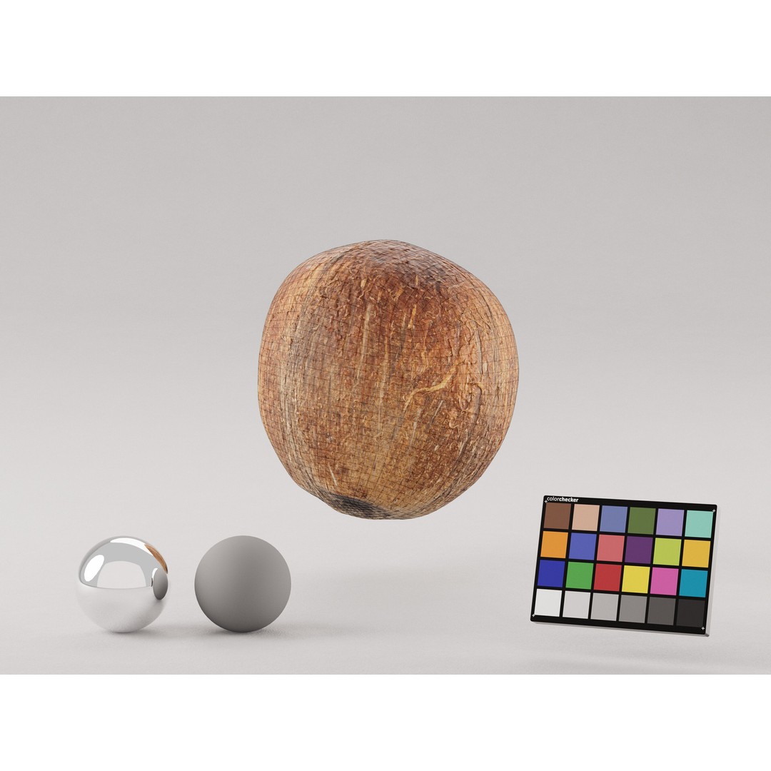 Coconut 3D Model – Low Poly Game Asset, PBR Textures, FBX, OBJ - View 9