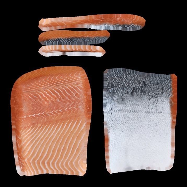 Fish 3D Model – High-Quality Photorealistic Asset, FBX - View 10