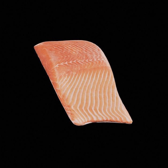 Fish 3D Model – High-Quality Photorealistic Asset, FBX - View 3