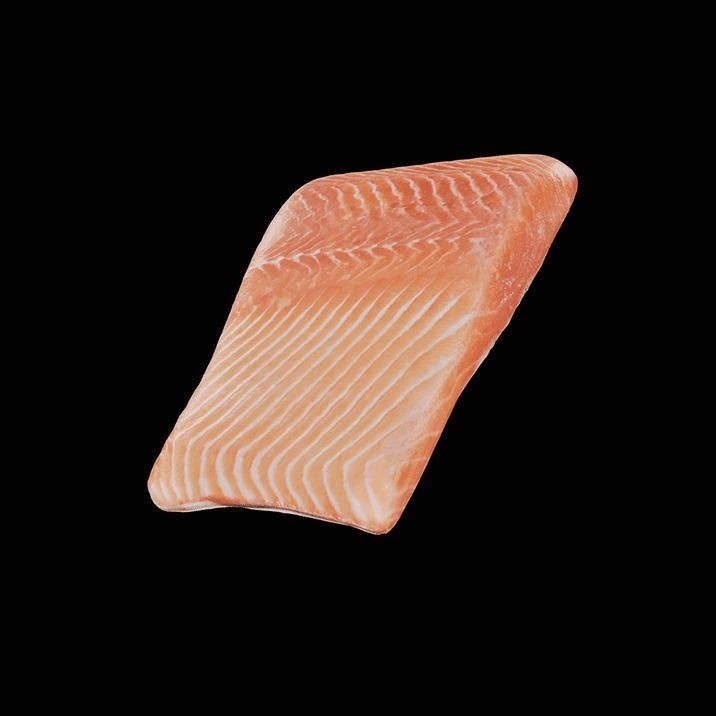 Fish 3D Model – High-Quality Photorealistic Asset, FBX - View 5