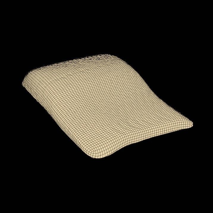 Fish 3D Model – High-Quality Photorealistic Asset, FBX - View 9