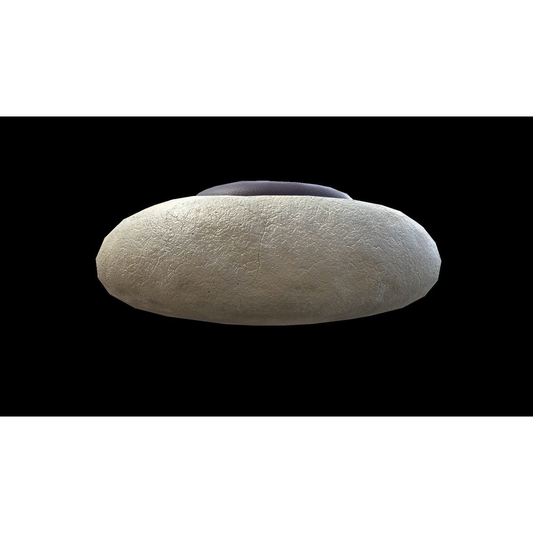 Paw Cookie 3D Model – Low Poly PBR Food Asset, FBX - View 3