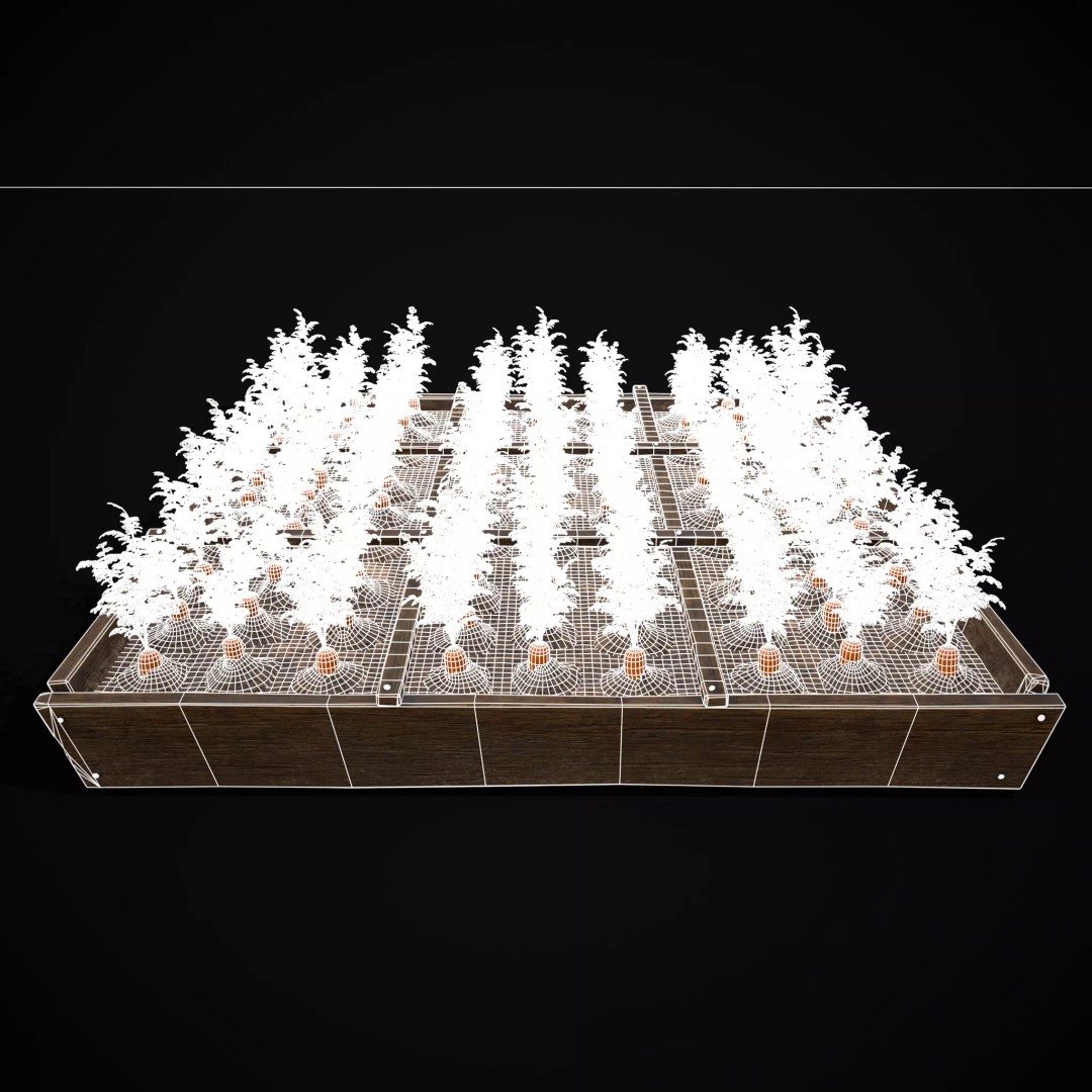 Square Planting Plots Vegetables 3D Model – Low Poly Game Ready, FBX & OBJ - View 12