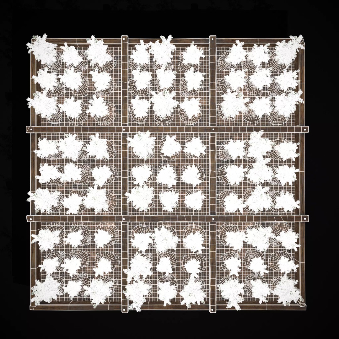 Square Planting Plots Vegetables 3D Model – Low Poly Game Ready, FBX & OBJ - View 14