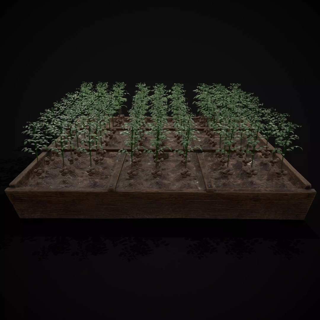 Square Planting Plots Vegetables 3D Model – Low Poly Game Ready, FBX & OBJ - View 20