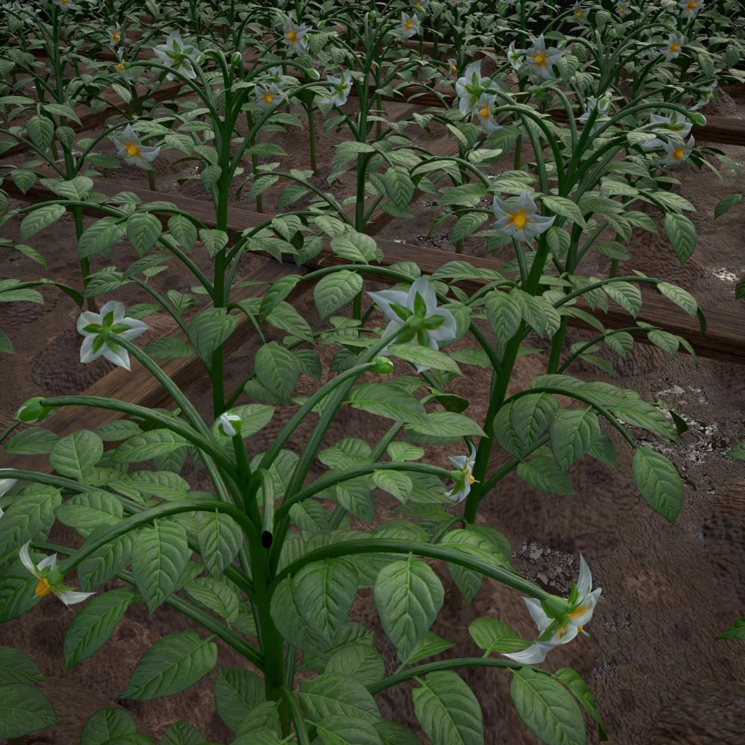 Square Planting Plots Vegetables 3D Model – Low Poly Game Ready, FBX & OBJ - View 23