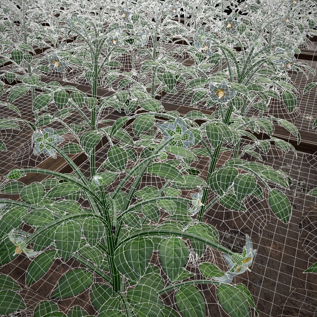 Square Planting Plots Vegetables 3D Model – Low Poly Game Ready, FBX & OBJ - View 24