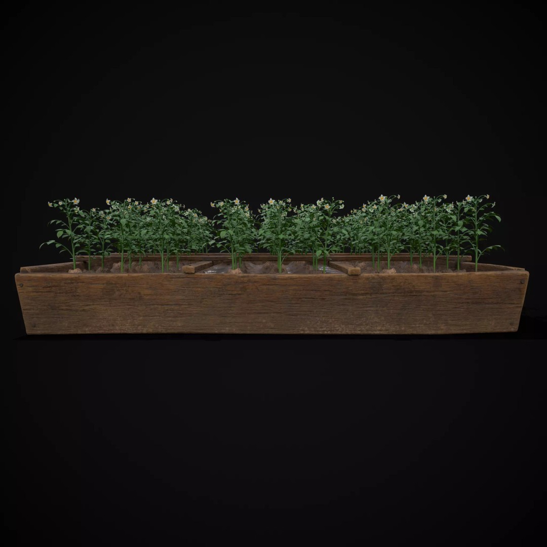 Square Planting Plots Vegetables 3D Model – Low Poly Game Ready, FBX & OBJ - View 25