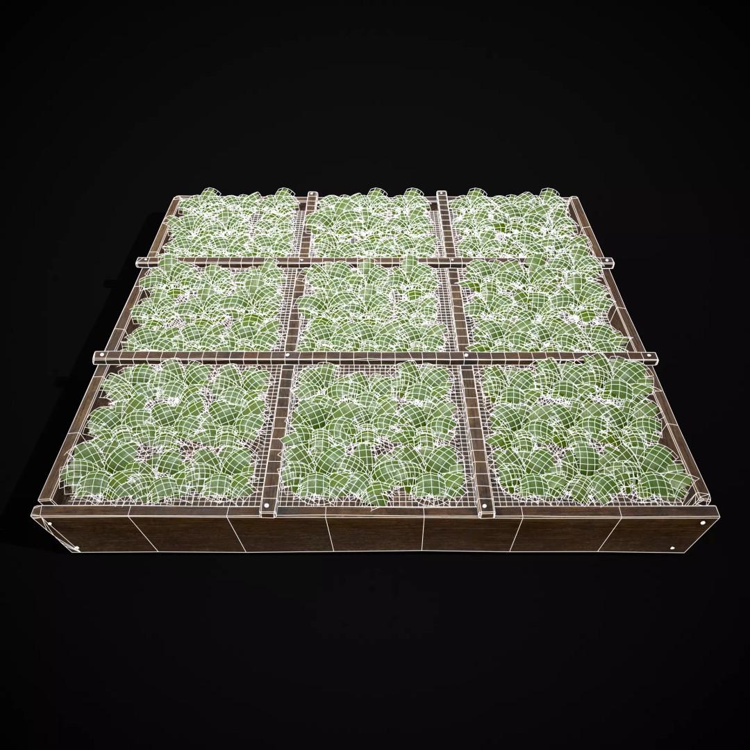 Square Planting Plots Vegetables 3D Model – Low Poly Game Ready, FBX & OBJ - View 28